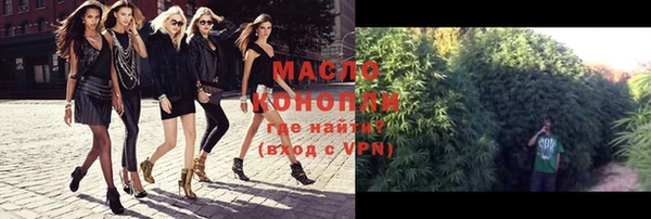 spice Каменка
