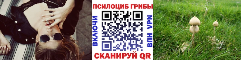 Галлюциногенные грибы Psilocybine cubensis Нерчинск